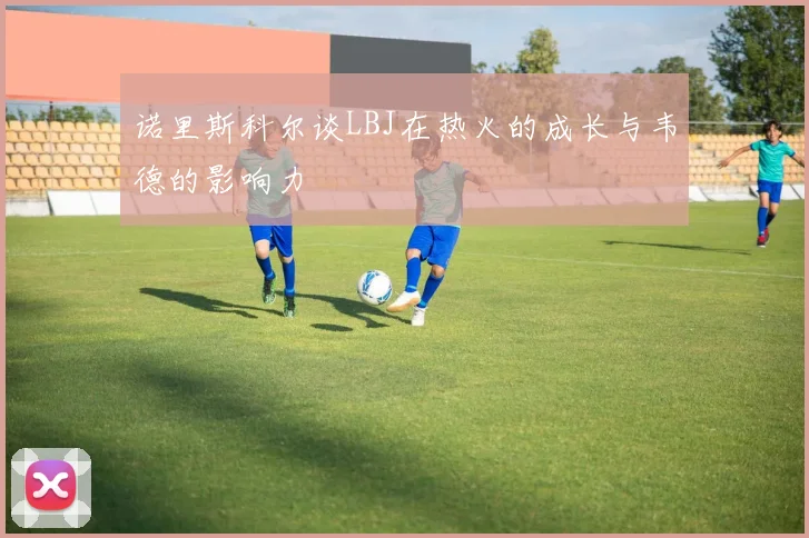 诺里斯科尔谈LBJ在热火的成长与韦德的影响力