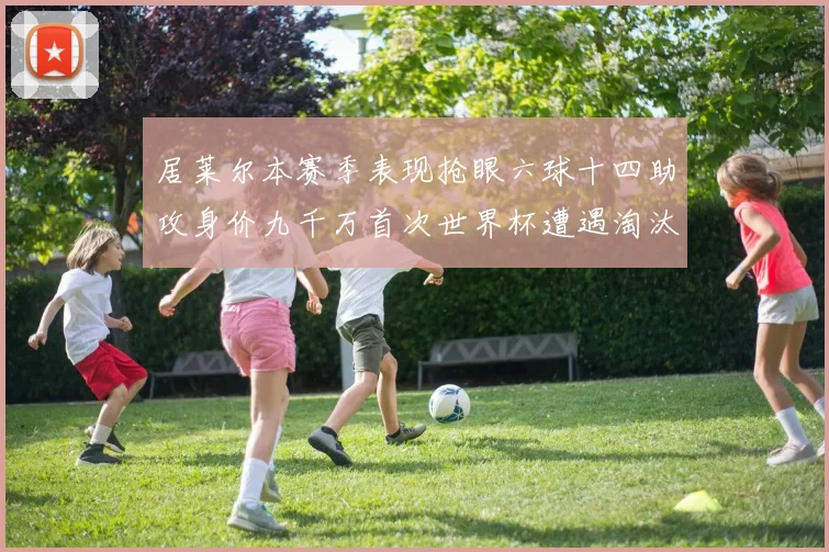 居莱尔本赛季表现抢眼六球十四助攻身价九千万首次世界杯遭遇淘汰